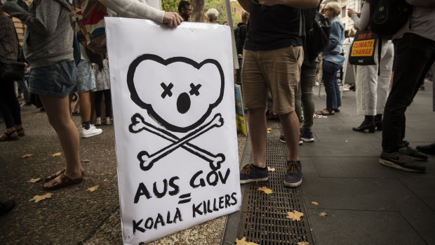 The loss of wildlife, especially Koala Bears, were the focal point for this protest sign.