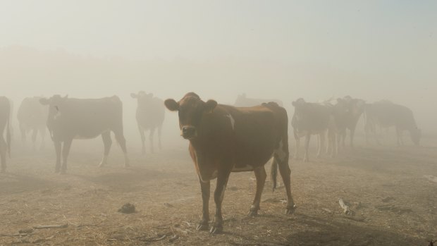 It's a contest for water in the Murray-Darling Basin.