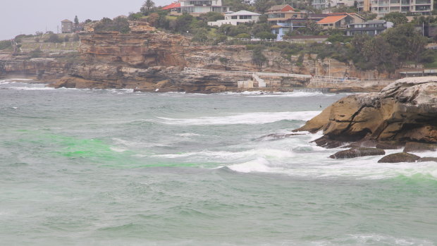 Bright green dye is used to identify a rip at Tamarama beach. 