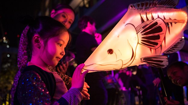 You don't need to try and capture the entire light installation, sometimes focusing on the smaller details can create for a stunning photo. 