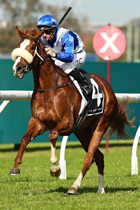 Didtle dough dessert.