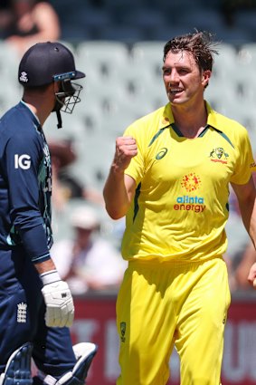 Pat Cummins celebrates a wicket.