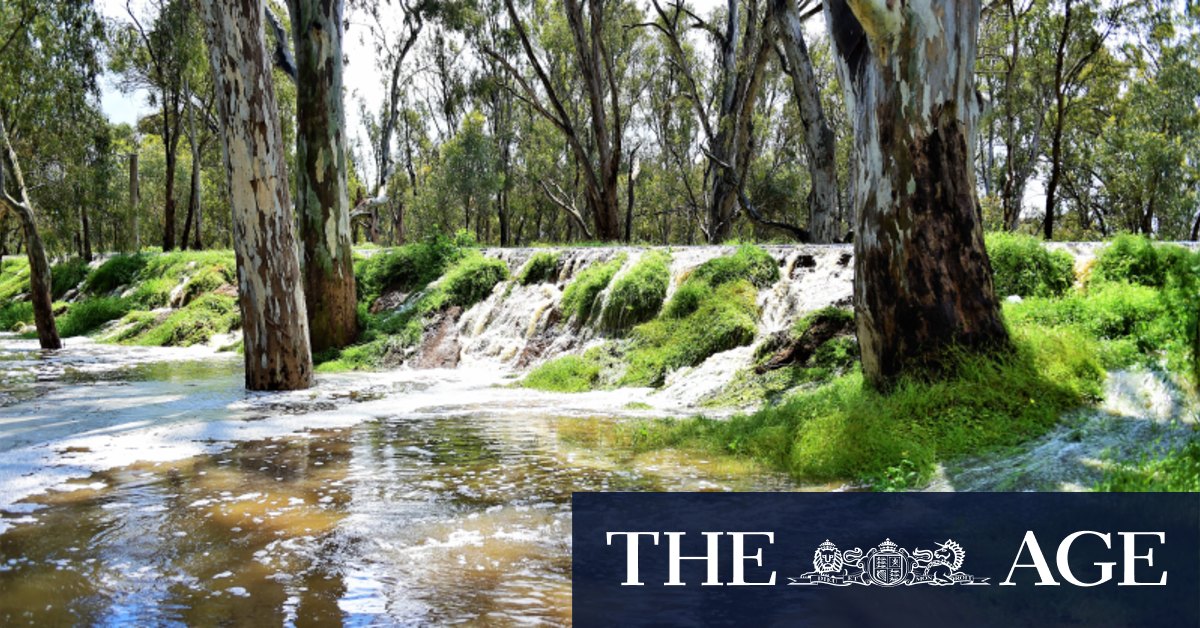 Victoria floods: Murray River at Echuca rises higher than 1993 floods - Vimarsana News