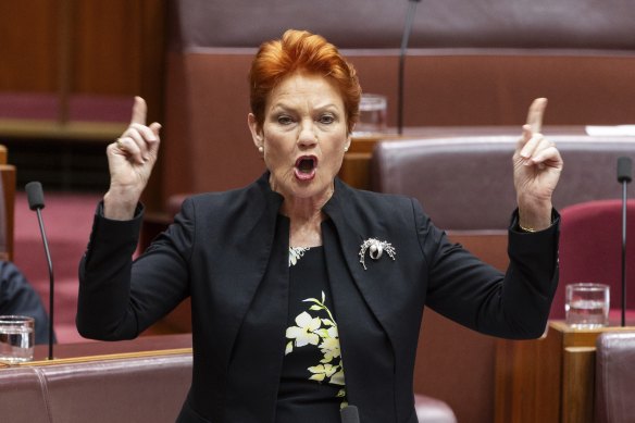 Senator Pauline Hanson in Canberra on Thursday.