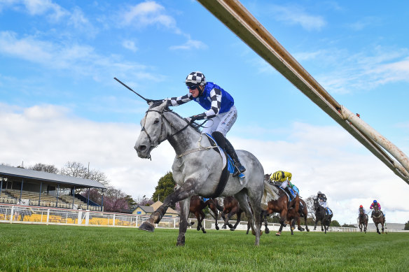 Saunter Boy was too good in the JJ Houlahan Hurdle.