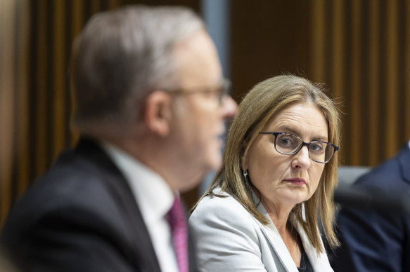 Prime Minister Anthony Albanese and Victorian Premier Jacinta Allan in December.