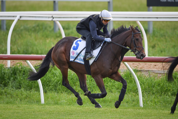 Deauville Legend ridden by Kerrin McEvoy during trackwork at Werribee Racecourse.