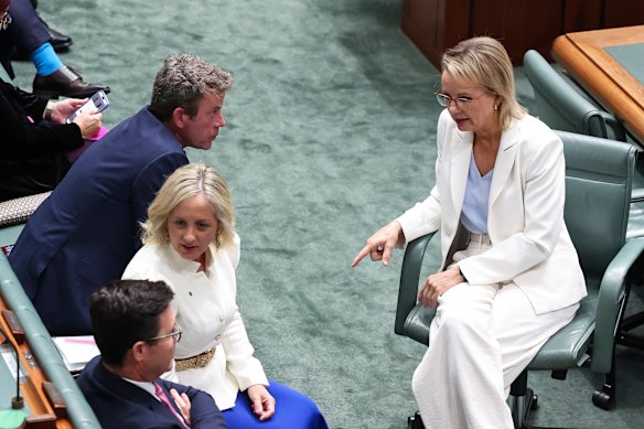 Opposition Leader Sussan Ley talks to energy spokesman Dan Tehan on Thursday.