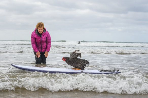 If everybody had a notion: Elaine Janes and her surfing hen, Mrs Chook.