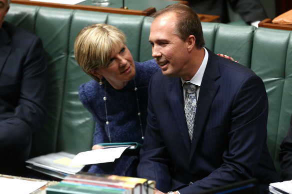 With the exception of Julie Bishop, most people might forget that Peter Dutton was once health minister. 