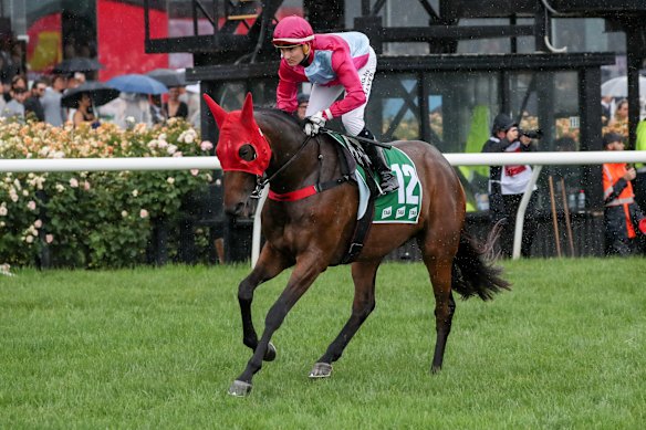 Jockey Micheal Hellyer on race day at Flemington.