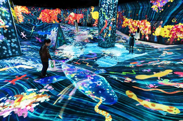 A real-life Pokemon … in the Catching and Collecting Forest visitors use smartphones to photograph digital animals they find.