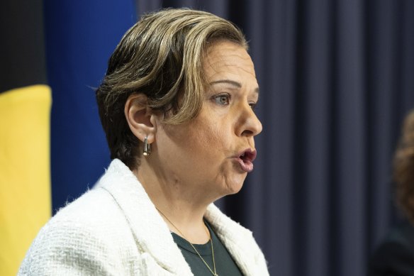 Michelle Rowland has spoken about the government review into the Optus outage.