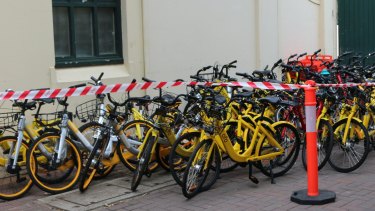 Bikes seized for impounding at Bondi on Monday. 