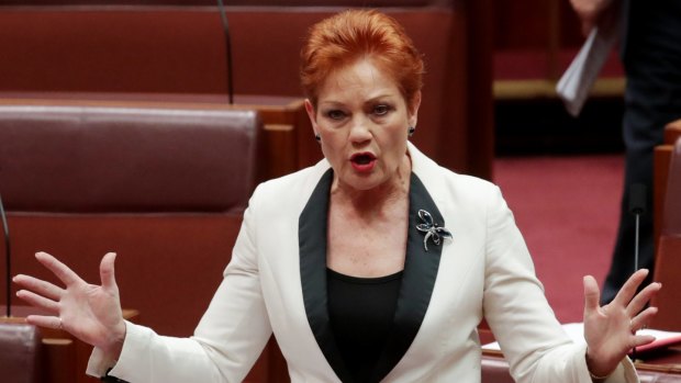 Protesters will voice their opposition to One Nation leader Pauline Hanson and her party.
