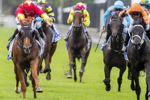 Race-by-race tips and analysis for Warwick Farm on Wednesday