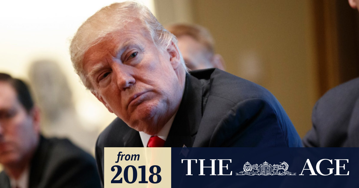 Pinballs struggle essay 04 image