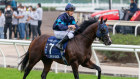 Laws of Indices has been a successful investment for its syndicate of backers.