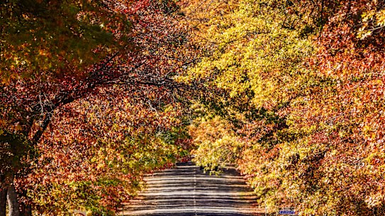 House price growth has eased in the Macedon Ranges.