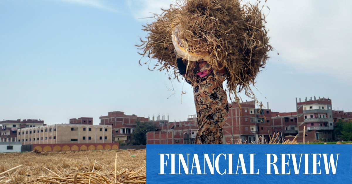Wheat rally threatens to reverberate across emerging markets - Vimarsana News