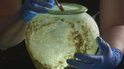 A conservator from the Museum of London with a glass cremation urn from an unrelated archaeological find.