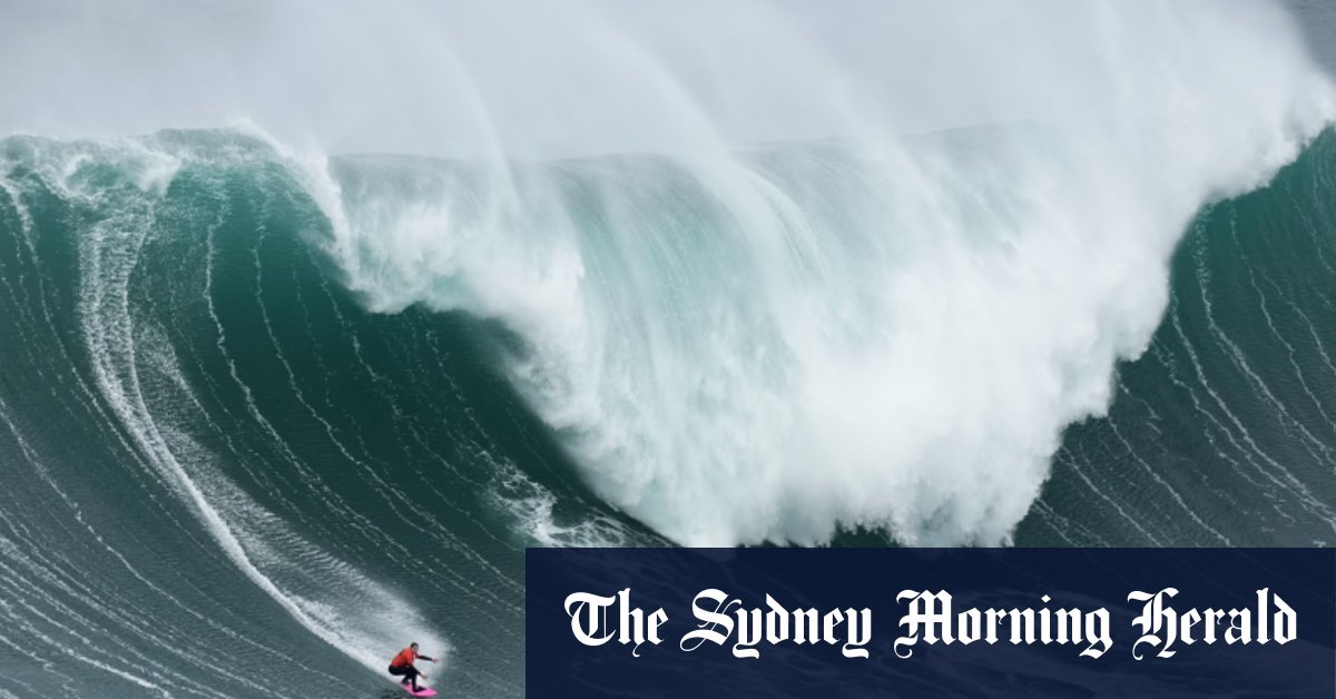 World of photos, January 28, 2024