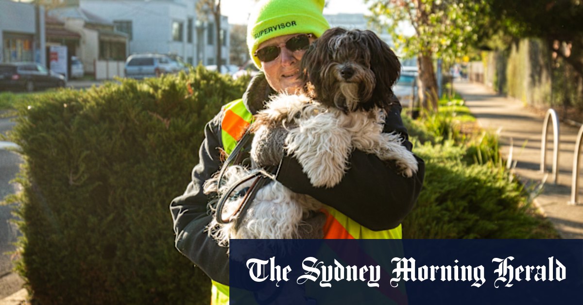 School crossings: Melbourne lollipop lady hangs up her whistle after 31 years of service - Vimarsana News