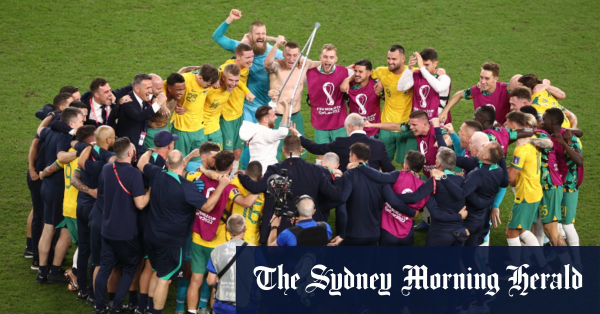 FIFA World Cup 2022: Australia, Socceroos best moments against France, Tunisia, Denmark - Vimarsana News