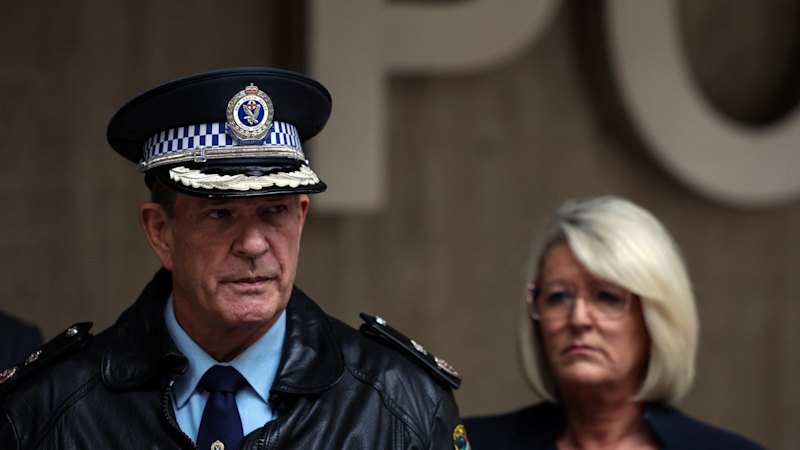 ‘Pursue them relentlessly’: Police set up taskforce amid gangland war fears