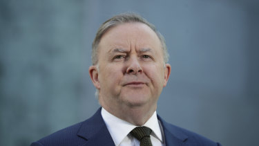 Opposition Leader Anthony Albanese wants MPs to be able to address Parliament via video.