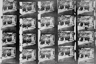 Still from Louis Le Prince’s two-second clip of family members in the garden, the first moving images ever filmed.