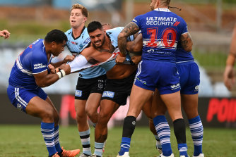 The heavyweights clashed in the first half of the Sharks-Dogs trial.