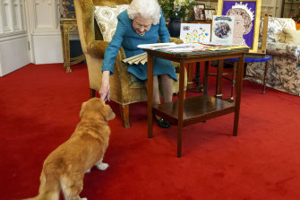 The Queen’s pet, Candy, is a “dorgi”, a dachshund-corgi crossbreed, and was briefly in 2020 her only dog before she got some new puppies. 