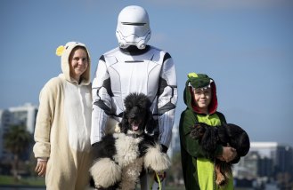 Dogged devotion: John Gibbins, centre, dressed as a Star Wars storm trooper for the RSPCA’s Million Paws Walk with wife Katherine, son Mason and dogs Raymond and Reginald.