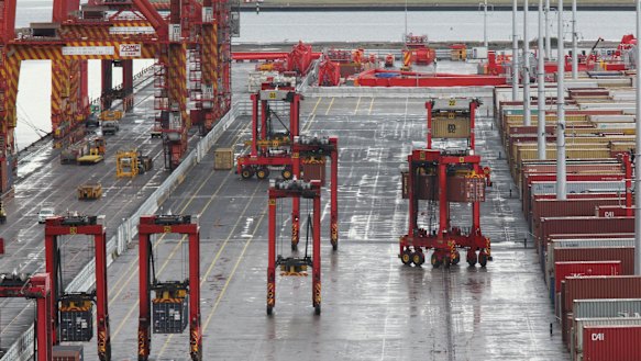 Businesses have slashed their capital spending expectations in the wake of the coronavirus outbreak, prompting fears it will hurt the nation's long term productivity levels.