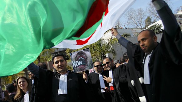 Algerian lawyers demonstrate with a national flag outside the constitutional council in a protest against President Abdelaziz Bouteflika.