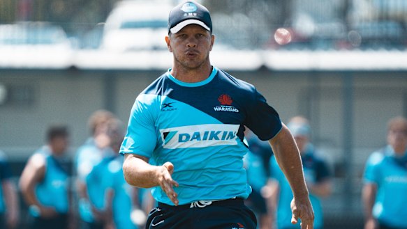 Working hard: Mack Mason has another chance to claim the No.10 jersey in a trial against the Reds on Friday.