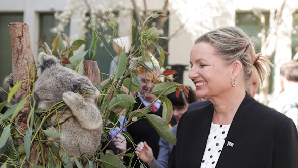 Environment Minister Sussan Ley has approved a controversial plan to expand a quarry on NSW's Mid North Coast.  