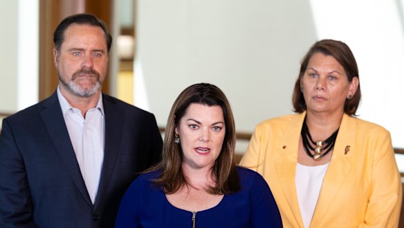 Greens senator Sarah Hanson-Young demanded Kelly Bayer Rosmarin attend the Senate probe in person rather than via video link.