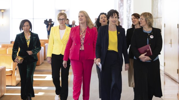 Crossbench MPs Dai Le, Zoe Daniel, Kylea Tink, Monique Ryan, Kate Chaney, Sophie Scamps and Zali Steggall in Canberra in August.