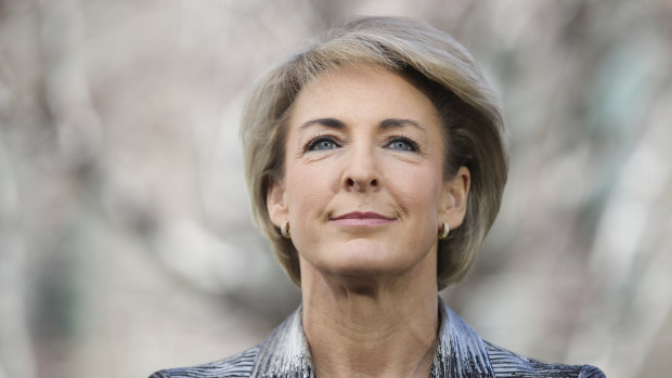 Michaelia Cash is the new minister for VET in the Morrison government.