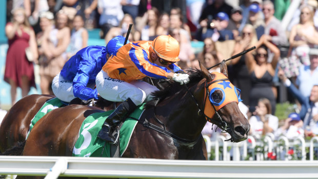 Avantage can lock down a spot in next month’s Epsom Handicap with victory in the Bill Ritchie at Randwick on Saturday.