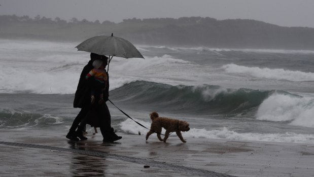 A wet walk on the beach at Dee Why on Wednesday. 