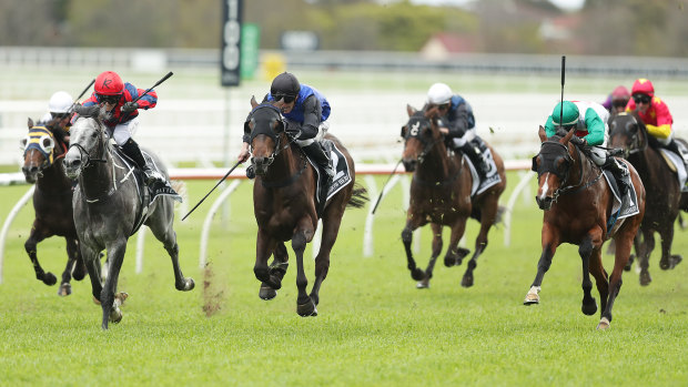 Castelvecchio (right, green cap) again showed his class despite defeat to Shadow Hero in the Spring Champion Stakes.