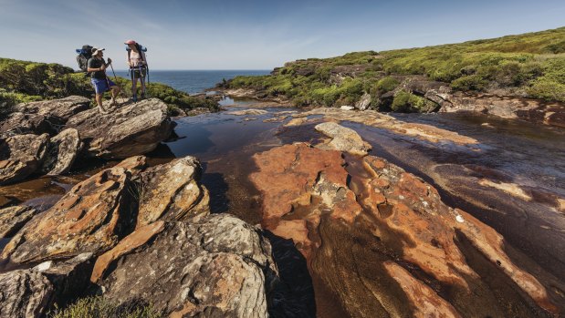 The Curra Moors loop track, Royal National Park, offers sandstone cliff and coastal views.