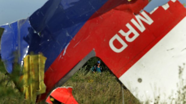 A woman looks at the debris from flight MH17 at the crash site in eastern Ukraine.