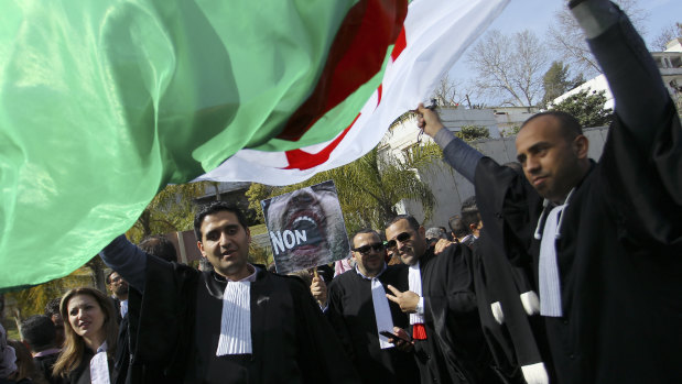 Algerian lawyers demonstrate with a national flag outside the constitutional council in a protest against President Abdelaziz Bouteflika.