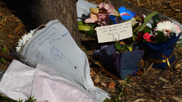 Flowers at the entrance to Anglicare’s Newmarch House in Caddens.