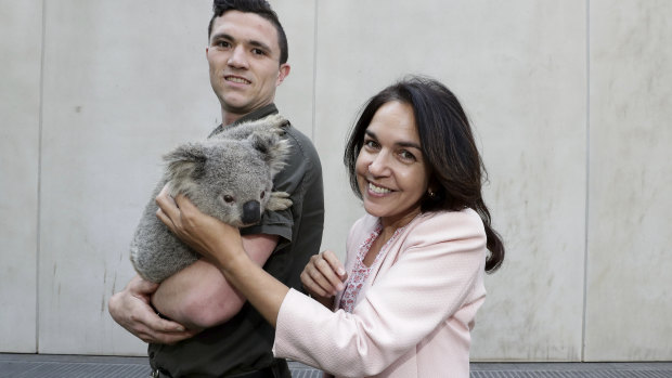 Labor Senator Lisa Singh with a koala during the Threatened Species Day event at Parliament House on Monday.