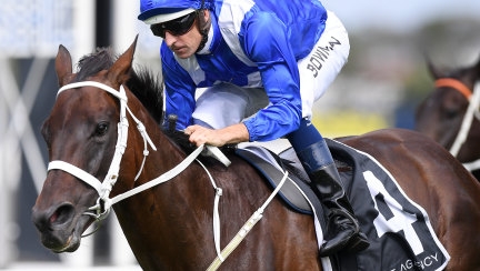 One to go: Winx continued her winning streak with a fourth win in  the George Ryder Stakes at Rosehill on Saturday